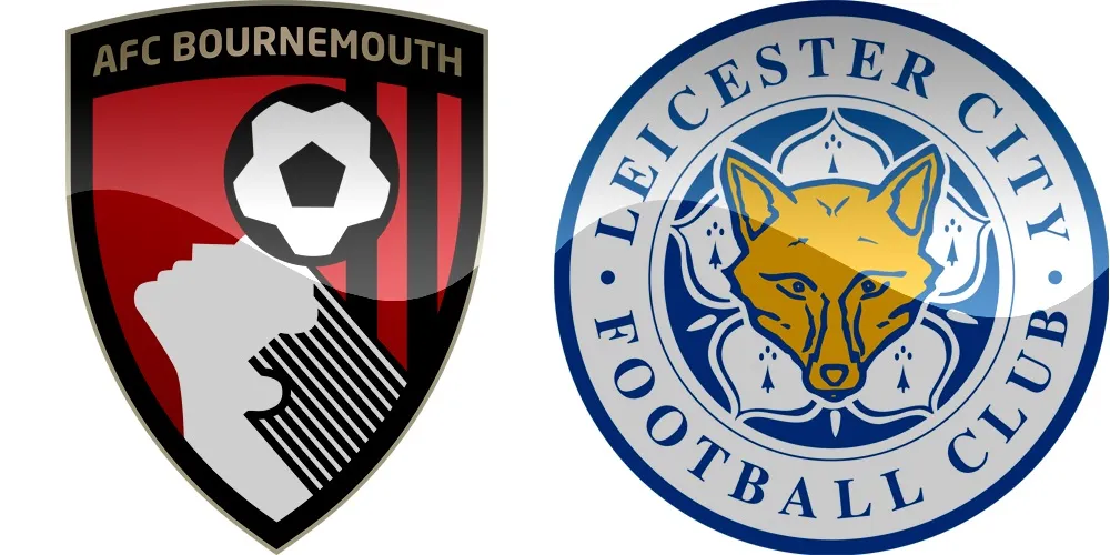 35.kolo Premier League: Bournemouth vs Leicester [VIDEO]
