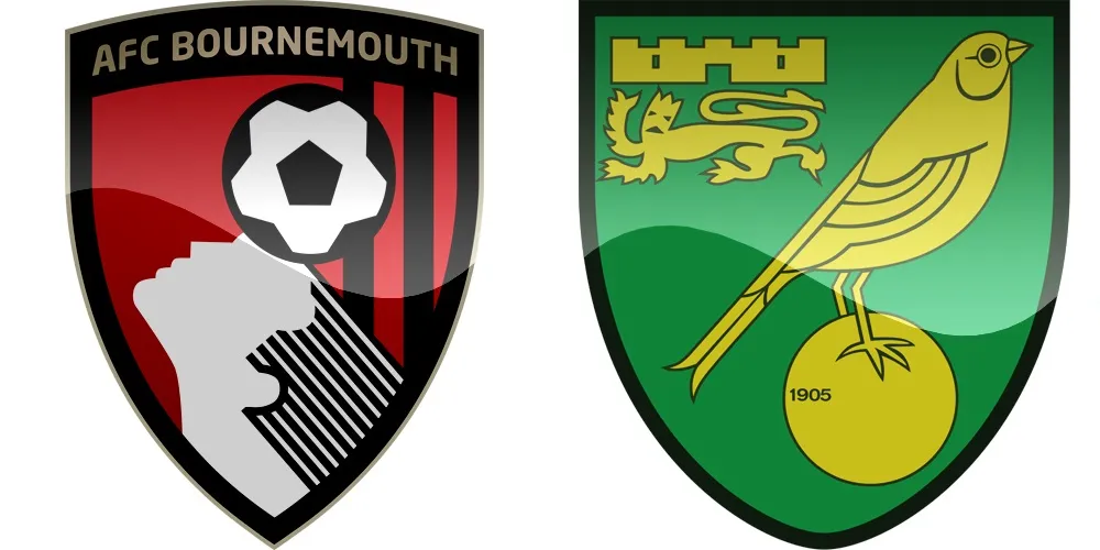 9.kolo Premier League: Bournemouth vs Norwich [VIDEO]