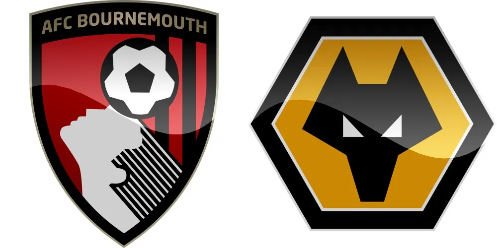 13.kolo Premier League: Bournemouth vs Wolverhampton [VIDEO]