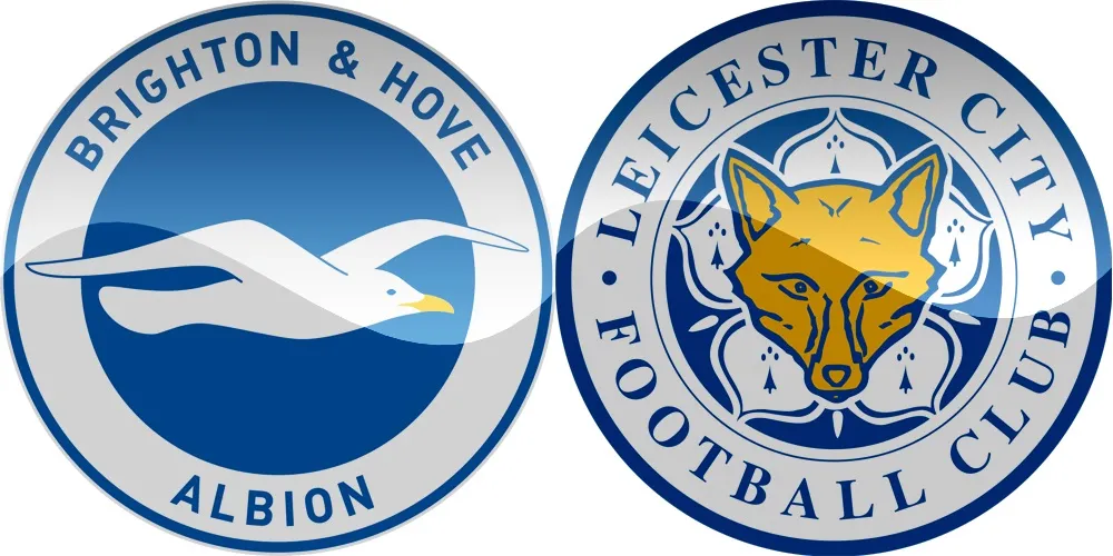 13.kolo Premier League: Brighton vs Leicester [VIDEO]