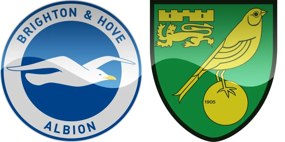 11.kolo Premier League: Brighton vs Norwich [VIDEO]