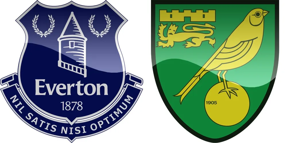13.kolo Premier League: Everton vs Norwich [VIDEO]