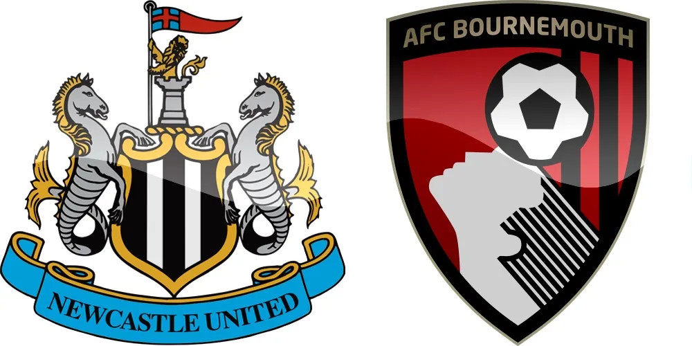 12.kolo Premier League: Newcastle vs Bournemouth [VIDEO]
