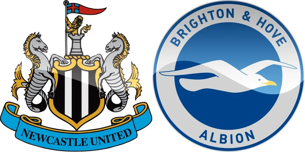 6.kolo Premier League: Newcastle vs Brighton [VIDEO]