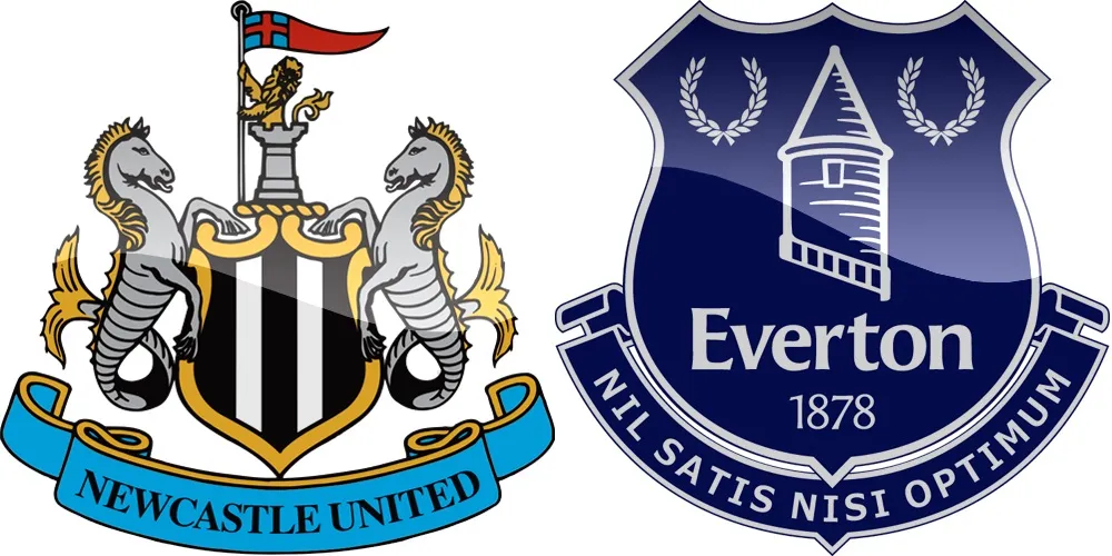 20.kolo Premier League: Newcastle vs Everton [VIDEO]