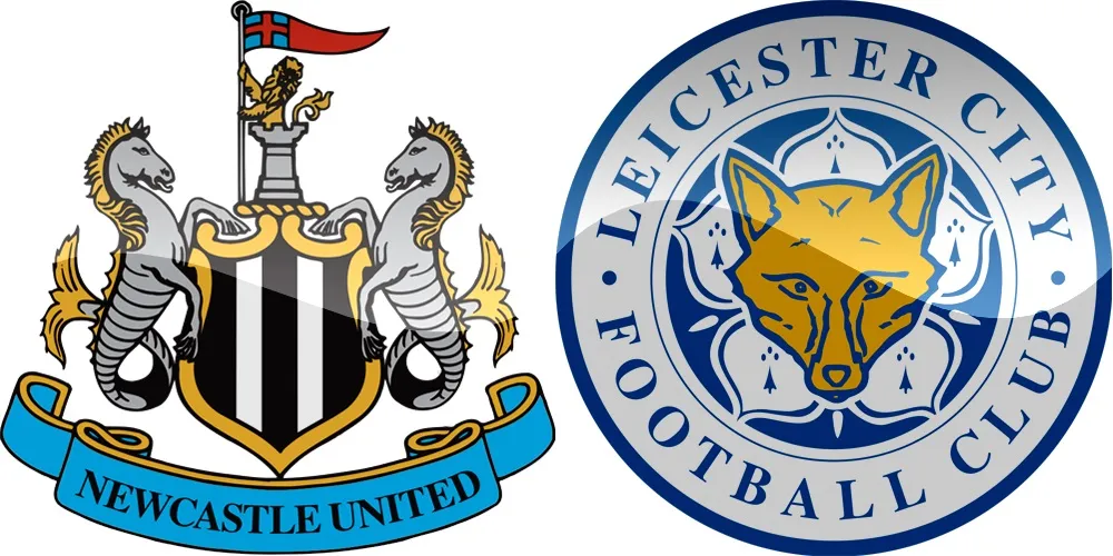 21.kolo Premier League: Newcastle vs Leicester [VIDEO]