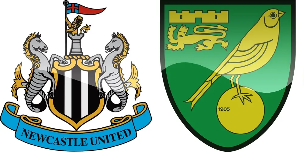 25.kolo Premier League: Newcastle vs Norwich [VIDEO]