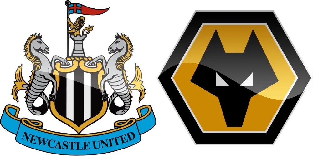 10.kolo Premier League: Newcastle vs Wolverhampton [VIDEO]