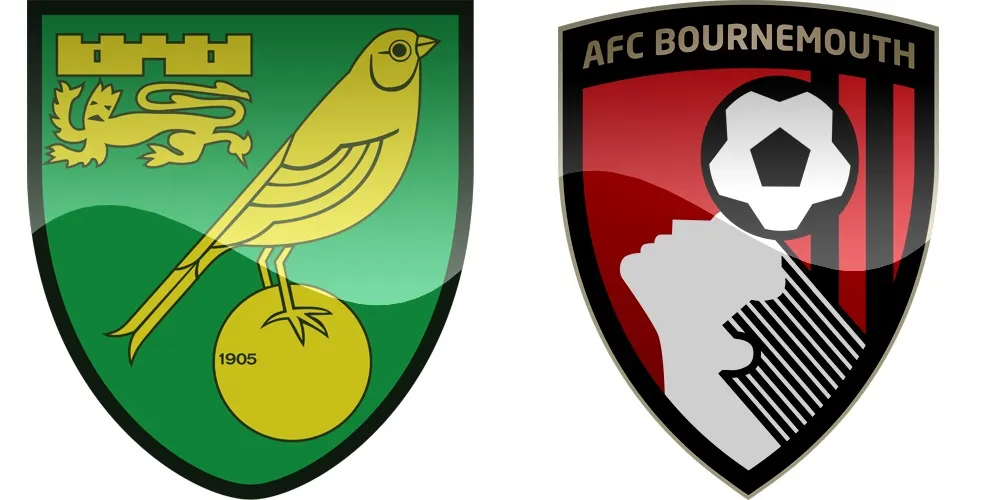 23.kolo Premier League: Norwich vs Bournemouth [VIDEO]