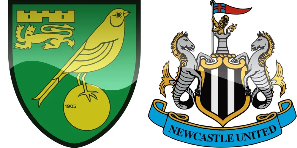 2.kolo Premier League: Norwich vs Newcastle [VIDEO]