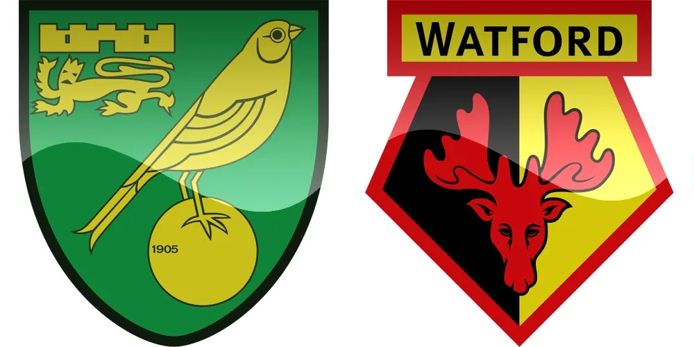 12.kolo Premier League: Norwich vs Watford [VIDEO]