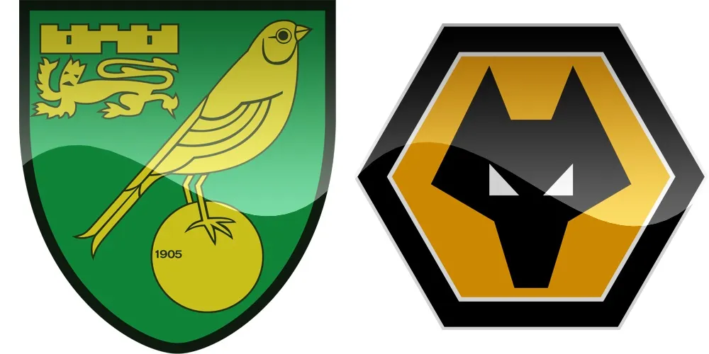 18.kolo Premier League: Norwich vs Wolverhampton [VIDEO]