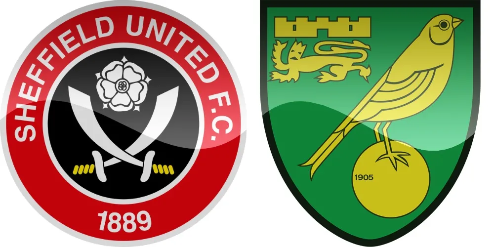 29.kolo Premier League: Sheffield United vs Norwich [VIDEO]