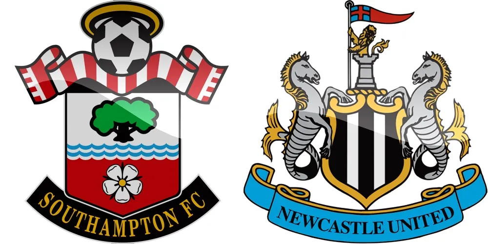 29.kolo Premier League: Southampton vs Newcastle [VIDEO]