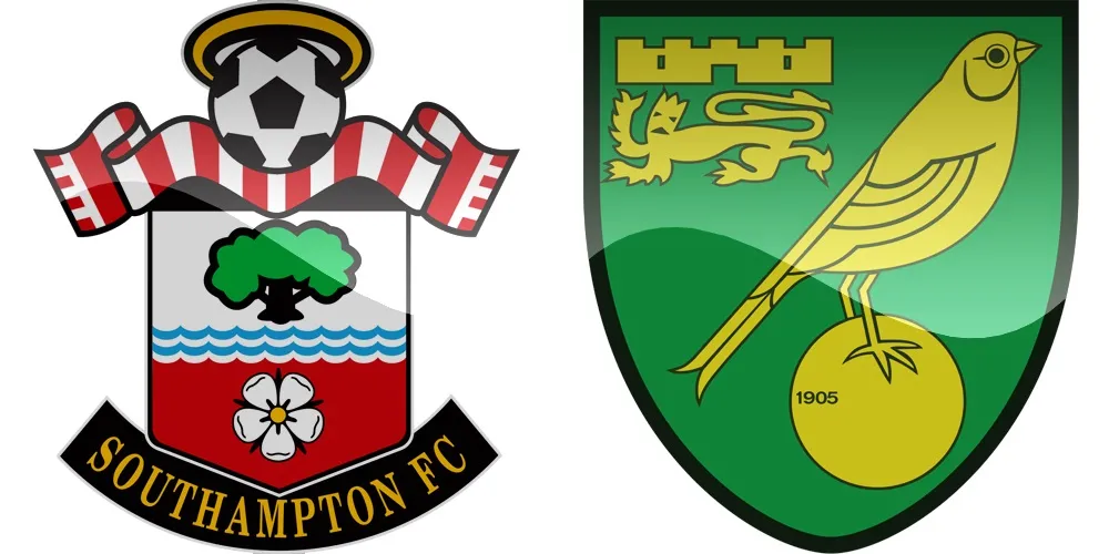 15.kolo Premier League: Southampton vs Norwich [VIDEO]