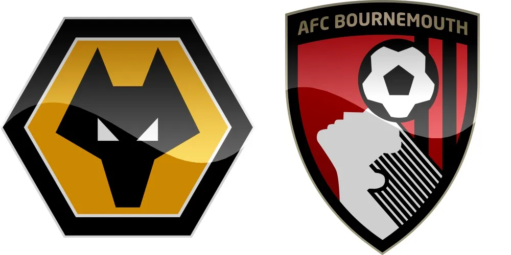 31.kolo Premier League: Wolverhampton vs Bournemouth [VIDEO]