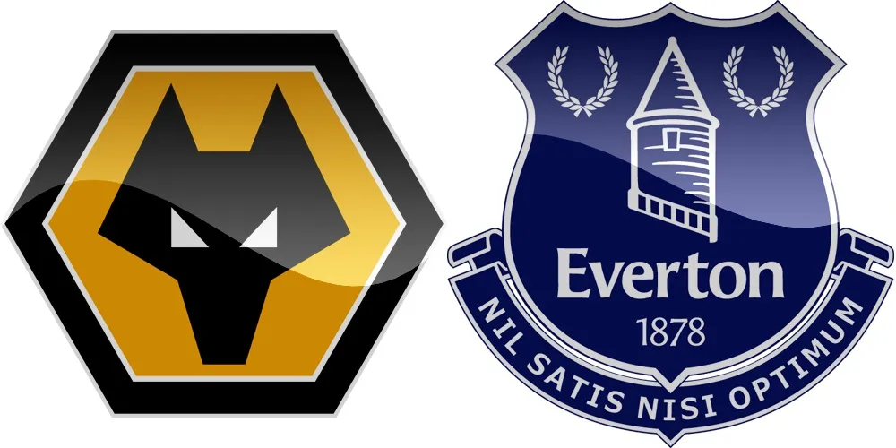 35.kolo Premier League: Wolverhampton vs Everton [VIDEO]