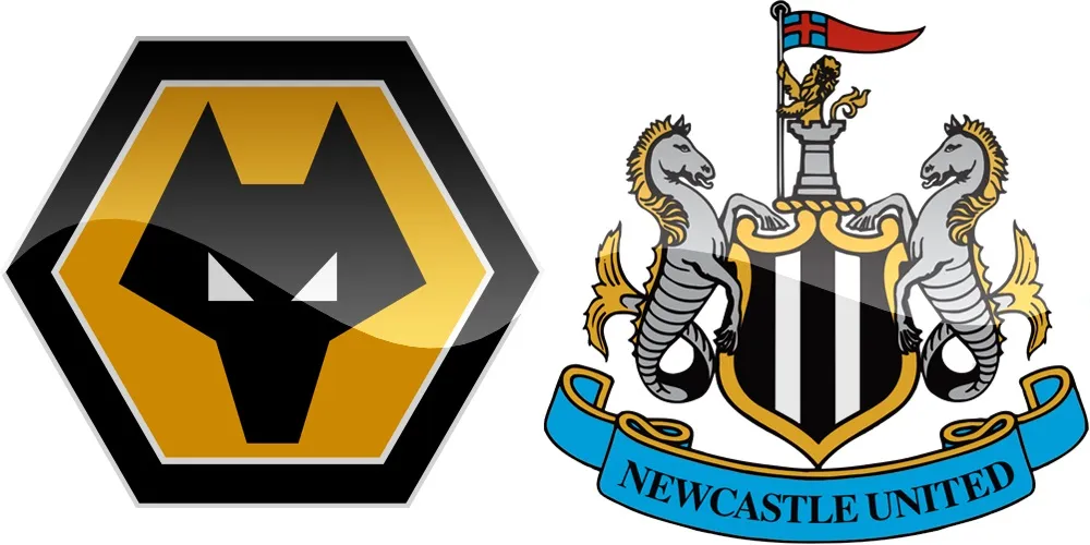 22.kolo Premier League: Wolverhampton vs Newcastle [VIDEO]