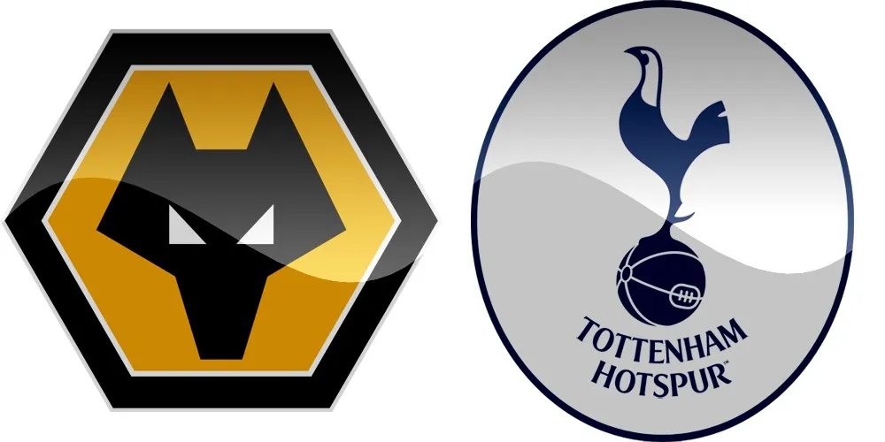 17.kolo Premier League: Wolverhampton vs Tottenham [VIDEO]